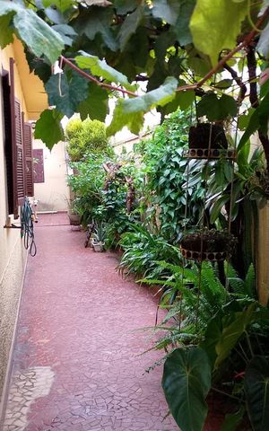Casa à venda com 224m², 3 quartos e 2 vagas Casa à venda com 224m², 3 quartos e 2 vagasÁrea externa