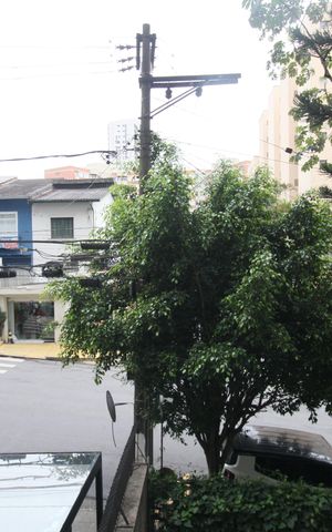 Apartamento para alugar com 75m², 3 quartos e 1 vagaVista da Sala