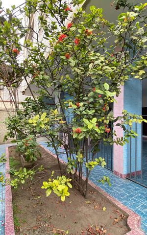 Apartamento à venda com 82m², 3 quartos e 1 vaga