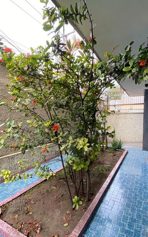 Apartamento à venda com 82m², 3 quartos e 1 vaga