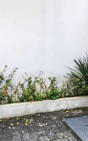 Studio para alugar com 26m², 1 quarto e sem vagaGarden