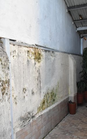 Casa à venda com 130m², 2 quartos e 1 vagaQuintal