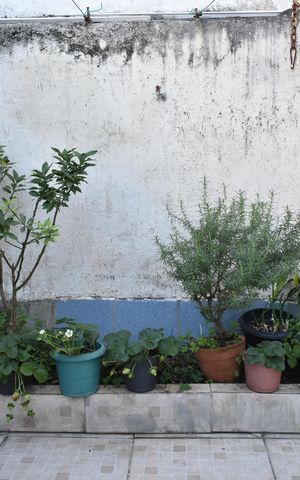 Casa à venda com 130m², 2 quartos e 1 vagaQuintal