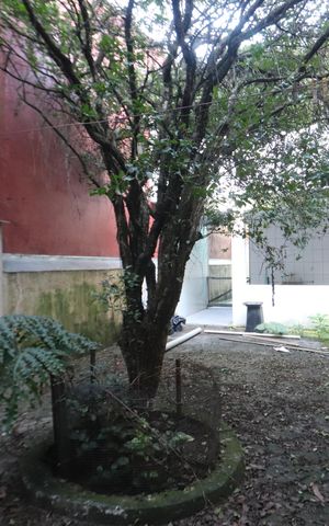 Casa à venda com 135m², 2 quartos e 2 vagasÁrea de serviço
