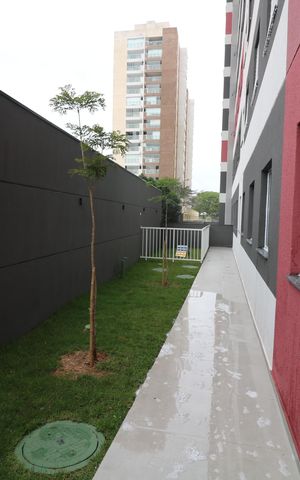 Apartamento para alugar com 25m², 2 quartos e sem vagaEspaço Pet