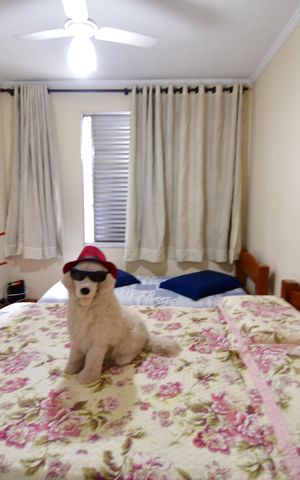 Apartamento à venda com 80m², 2 quartos e 1 vagaQuarto 1