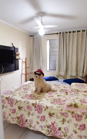 Apartamento à venda com 80m², 2 quartos e 1 vagaQuarto 1