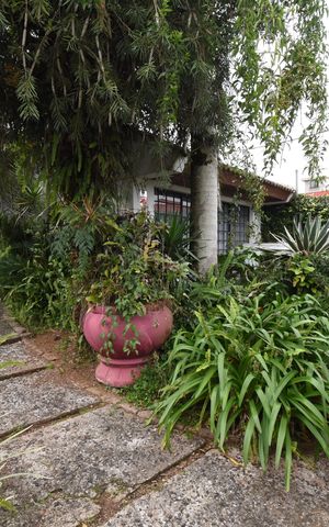 Casa para alugar com 460m², 4 quartos e 5 vagasÁrea externa