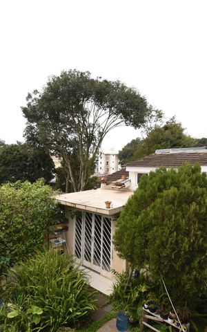 Casa para alugar com 460m², 4 quartos e 5 vagasVista da Sacada da Sala