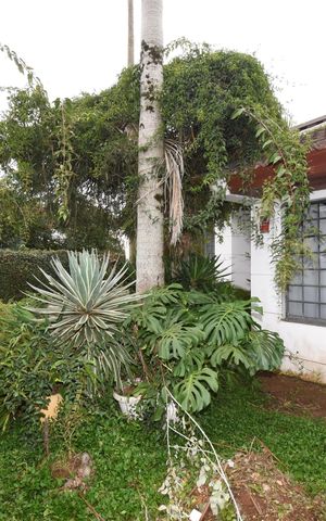 Casa para alugar com 460m², 4 quartos e 5 vagasÁrea externa