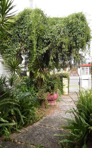 Casa para alugar com 460m², 4 quartos e 5 vagasÁrea externa