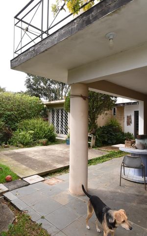 Casa para alugar com 460m², 4 quartos e 5 vagasÁrea externa