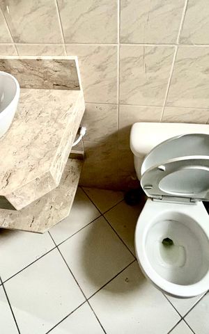 Apartamento para alugar com 53m², 2 quartos e 1 vaga Apartamento para alugar com 53m², 2 quartos e 1 vagaBanheiro