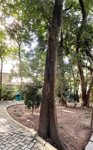 Apartamento à venda com 169m², 3 quartos e 4 vagas Apartamento à venda com 169m², 3 quartos e 4 vagasÁrea comum - Bosque