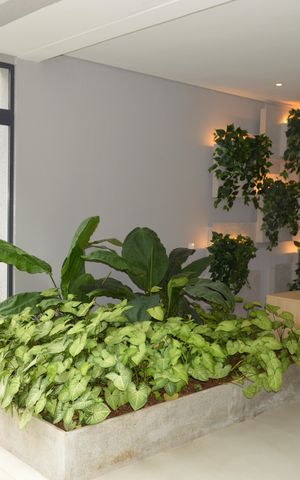 Studio à venda com 23m², 1 quarto e sem vagaHall