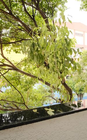 Casa à venda com 127m², 3 quartos e 2 vagasVaranda da Suíte 1
