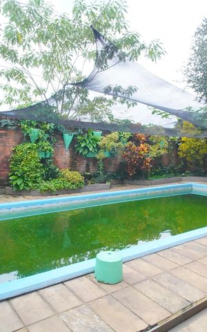 Casa à venda com 208m², 4 quartos e 2 vagasÁrea comum - Piscina