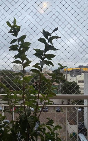 Apartamento à venda com 108m², 4 quartos e 2 vagas Apartamento à venda com 108m², 4 quartos e 2 vagasVaranda Sala 02