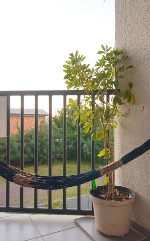 Apartamento à venda com 66m², 2 quartos e 1 vagaSacada da Sala