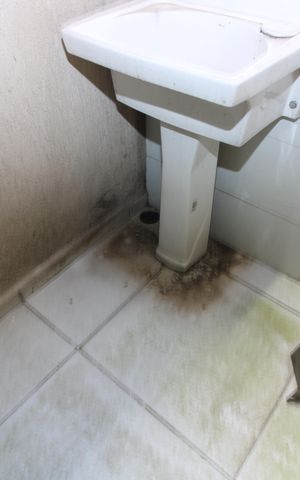 Apartamento para alugar com 35m², 1 quarto e sem vagaÁrea de Serviço