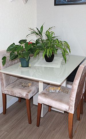 Apartamento à venda com 50m², 2 quartos e 1 vagaSala