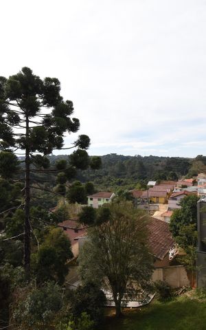 Casa para alugar com 250m², 3 quartos e 4 vagasVista da Área gourmet