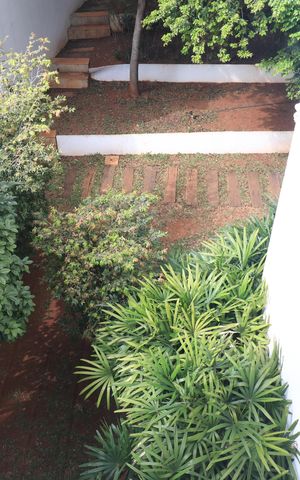 Apartamento para alugar com 42m², 1 quarto e 1 vagaÁrea comum 