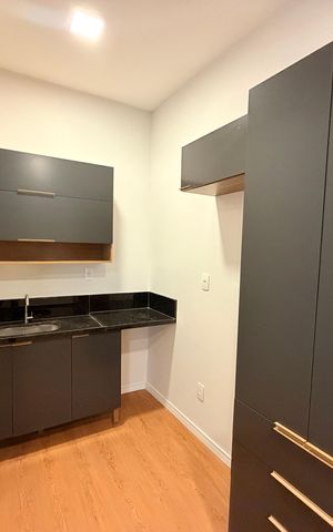 Studio para alugar com 29m², 1 quarto e sem vaga Studio para alugar com 29m², 1 quarto e sem vagaCozinha