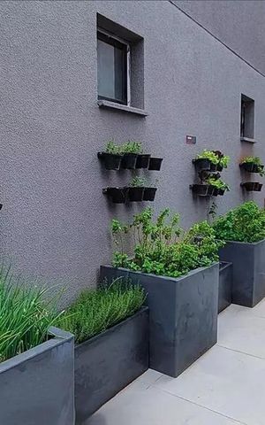 Apartamento para alugar com 34m², 2 quartos e sem vagaHorta
