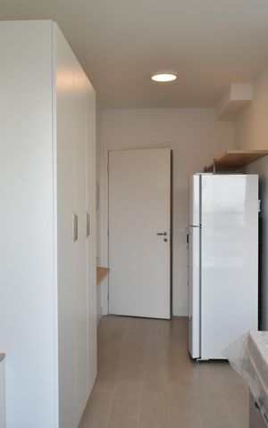 Studio para alugar com 25m², 1 quarto e sem vagaStudio