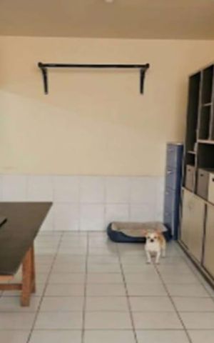 Casa para alugar com 260m², 4 quartos e 1 vaga Casa para alugar com 260m², 4 quartos e 1 vagaQuarto