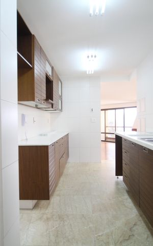 Apartamento à venda com 263m², 3 quartos e 3 vagasCozinha - Armários
