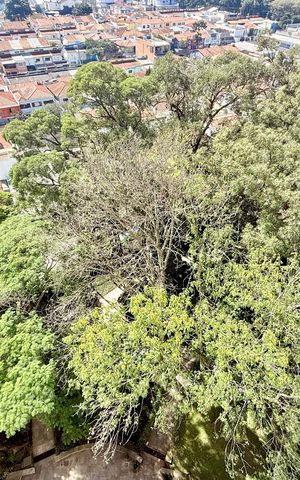 Apartamento à venda com 207m², 3 quartos e 2 vagasVista 