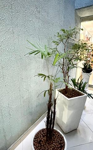 Casa à venda com 180m², 4 quartos e 4 vagas Casa à venda com 180m², 4 quartos e 4 vagasÁrea comum
