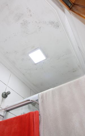 Casa de condomínio à venda com 65m², 2 quartos e 1 vagaBanheiro da Suíte 2