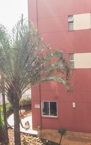 Apartamento para alugar com 80m², 3 quartos e 1 vaga Apartamento para alugar com 80m², 3 quartos e 1 vagaVista da Varanda