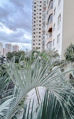 Apartamento à venda com 67m², 3 quartos e 1 vagaVista do Quarto 1