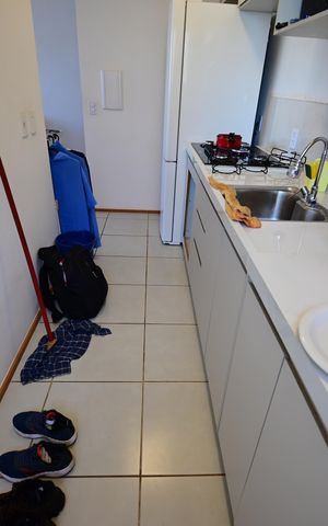 Apartamento à venda com 48m², 2 quartos e 1 vaga