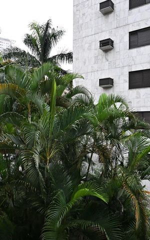 Apartamento à venda com 31m², 1 quarto e 1 vagaVista