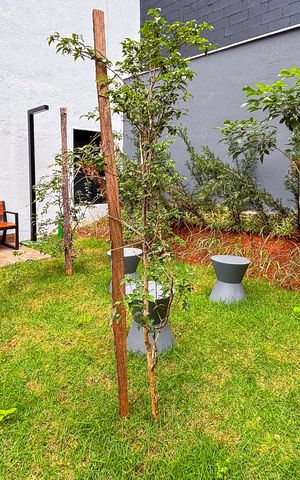 Apartamento à venda com 29m², 1 quarto e sem vaga