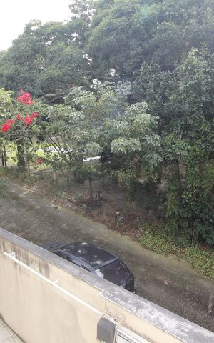 Casa para alugar com 300m², 3 quartos e 3 vagasVista da Rua