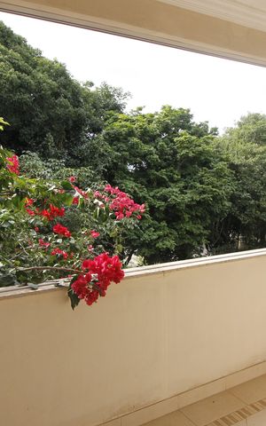 Casa para alugar com 300m², 3 quartos e 3 vagasVista da Suíte