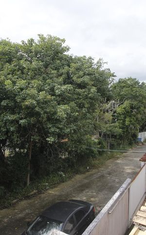 Casa para alugar com 300m², 3 quartos e 3 vagasVista da Rua
