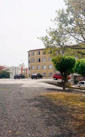 Apartamento para alugar com 53m², 2 quartos e 1 vaga Apartamento para alugar com 53m², 2 quartos e 1 vagaÁrea comum