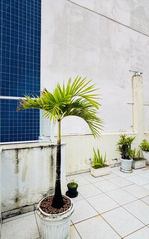 Apartamento para alugar com 90m², 2 quartos e sem vaga