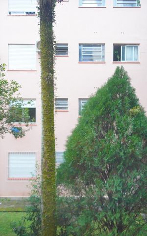 Apartamento à venda com 52m², 3 quartos e 1 vagaVista do Quarto 1