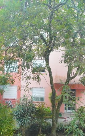 Apartamento à venda com 52m², 3 quartos e 1 vagaVista do Quarto 3