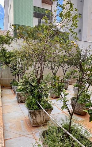 Apartamento à venda com 293m², 4 quartos e 3 vagasÁrea externa
