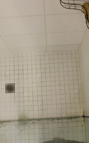 Apartamento à venda com 75m², 3 quartos e 2 vagasBanheiro social 