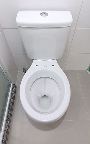 Apartamento para alugar com 34m², 1 quarto e 1 vagaBanheiro